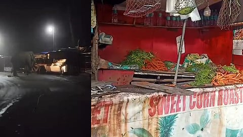 Padayappa enters Munnar town, smashes shops; panic 