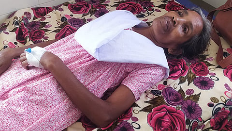 Bee attack; Anganwadi worker stung all over