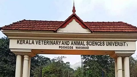 Veterinary University jobs