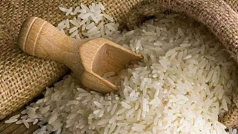 rice causes cancer