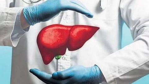 liver health