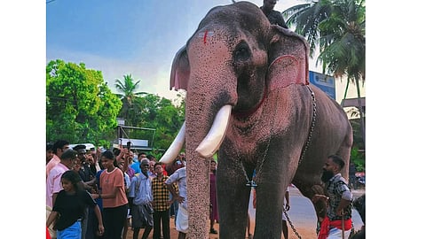 techikottukavu ramachandran