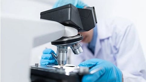 gallstones, laparoscopic,