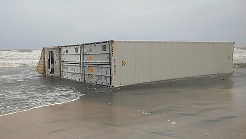MSC Elsa 3
