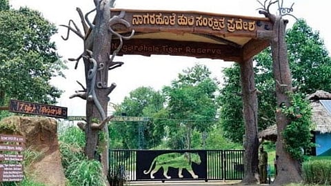 Heavy rains: Nagarhole safari routes closed, tourist attractions in Ooty closed