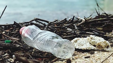 plastic bottle thrown to beach