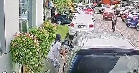Stray dog ​​that bit about 50 people found dead; footage of it biting a student released