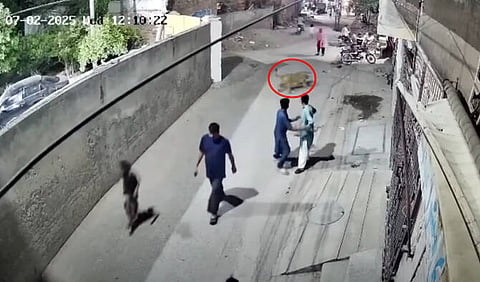 Escaped lion attacks woman and children in Pakistan street
