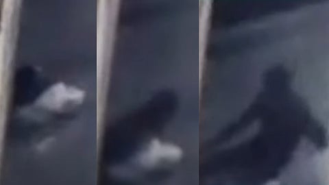 Govindachamy Escape