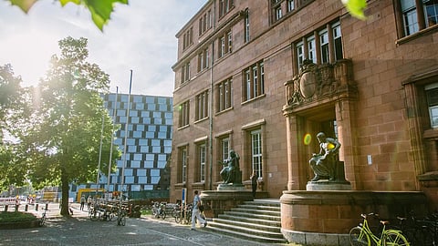 German FRIAS Fellowship 