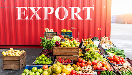 indian government is working on extending support measures for exporters
