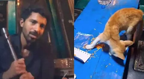 Police register case against youth who killed cat and posted footage 