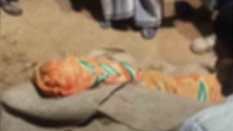 boy was killed by a tiger in Valparai 