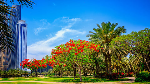 Dubai offers single-entry visas to visitors within 48 hours
