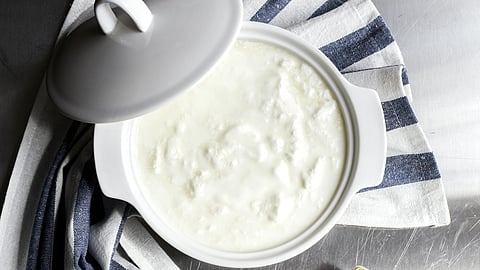 Curd in bowl