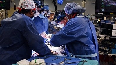 surgery 