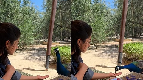 Rashmika Mandanna