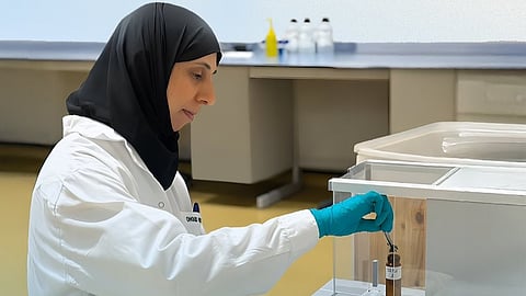 Oman Virus Outbreak 