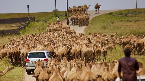 Oman police