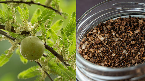 Amla Juice
