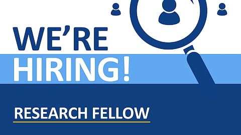 Project Fellow 