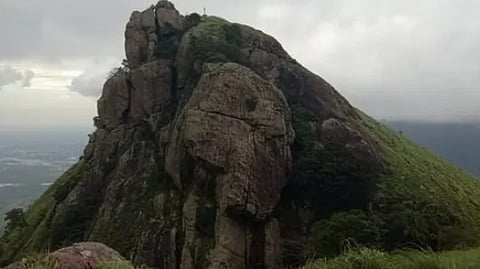 rajakoop