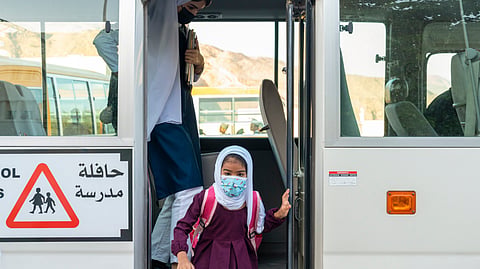 Gulf  School Buses