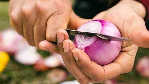 Onion