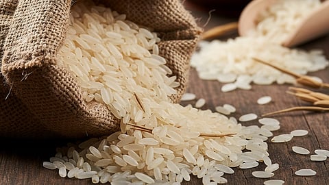 Rice
