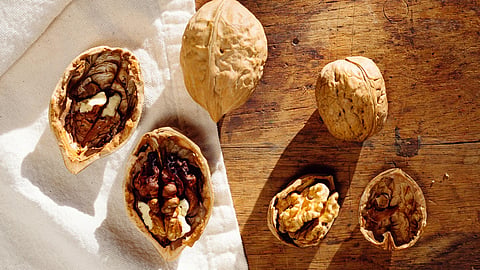 Walnut