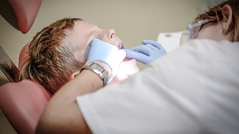 Teeth