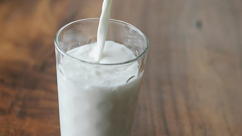 Milk Drinking