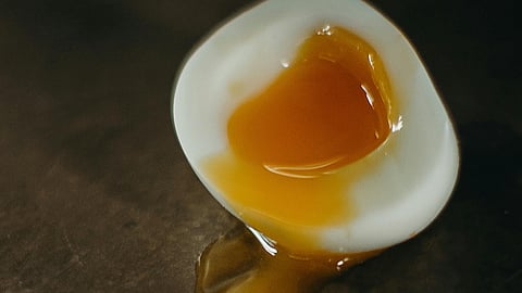 Boiled EGG