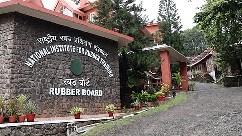 Rubber Board job