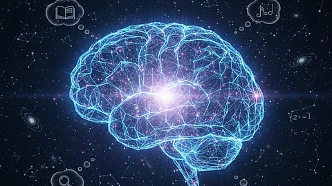 Brain Aging
