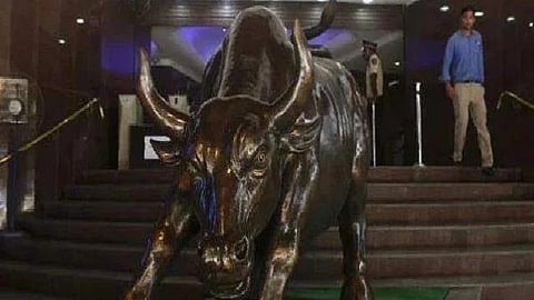 Bull run 