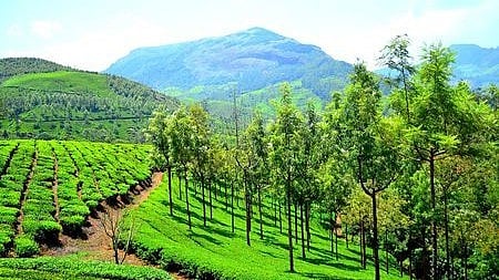  munnar