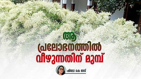  Manimulla
