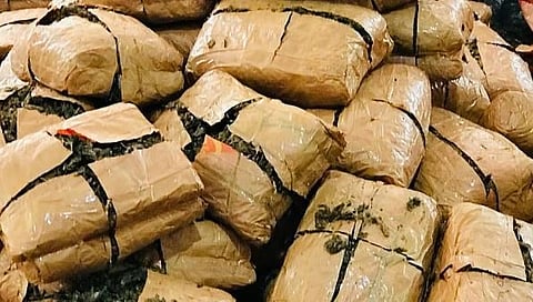 The marijuana was seized in January 2022 by Ormanjhi police during a vehicle check on NH-20