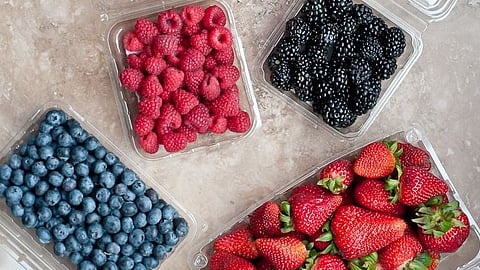 Berry fruits for gut health, Colorectal Cancer 