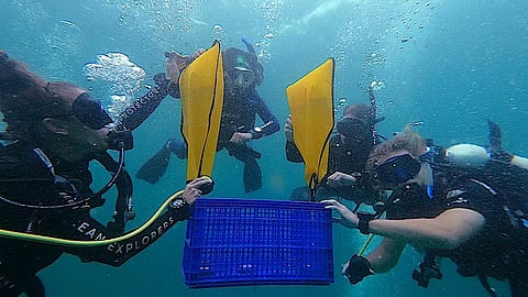 Dive Master