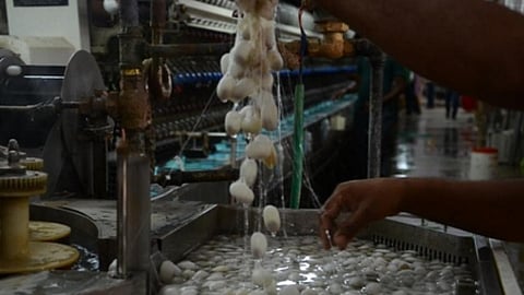  Central Silk Board