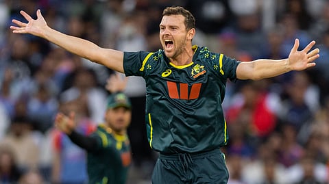 Josh Hazlewood 