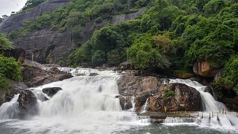western ghat