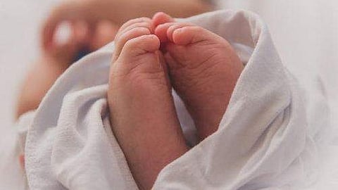newborn baby  