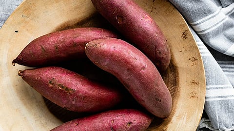 Sweet Potato