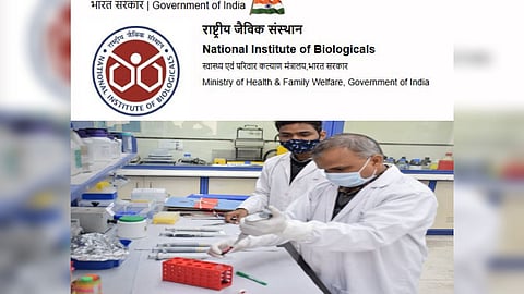 National Institute of Biologicals recruitment 2026 notification for 44 central government job vacancies.