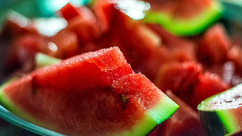 Water Melon