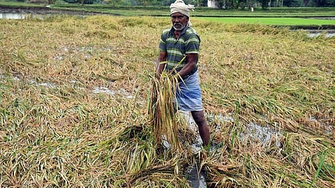 Crop damage