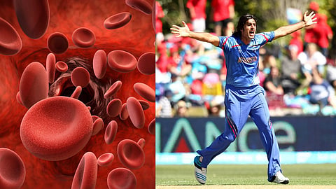 shapoor zadran